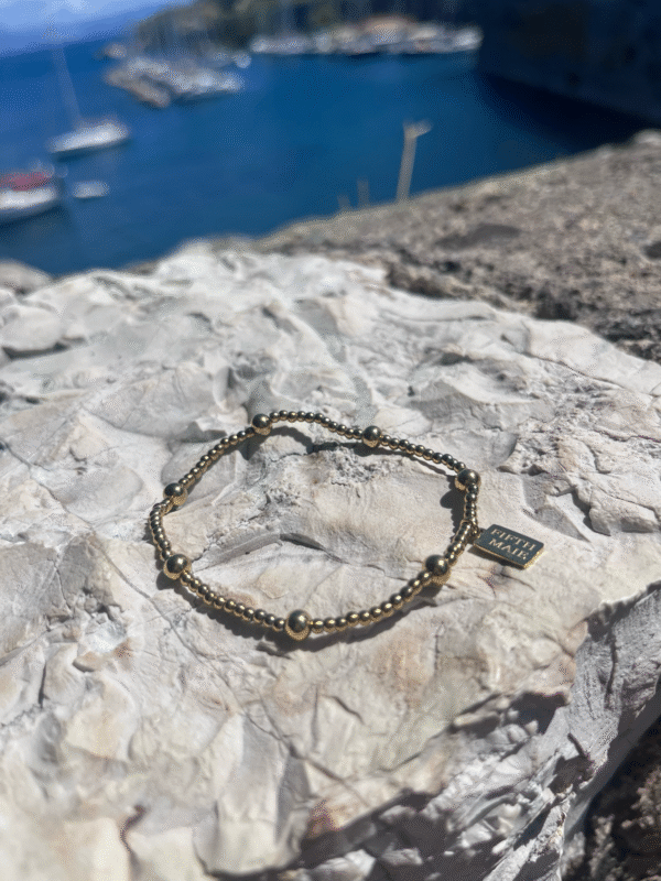 RVS- 2,5mm Armand - DOT Repeat