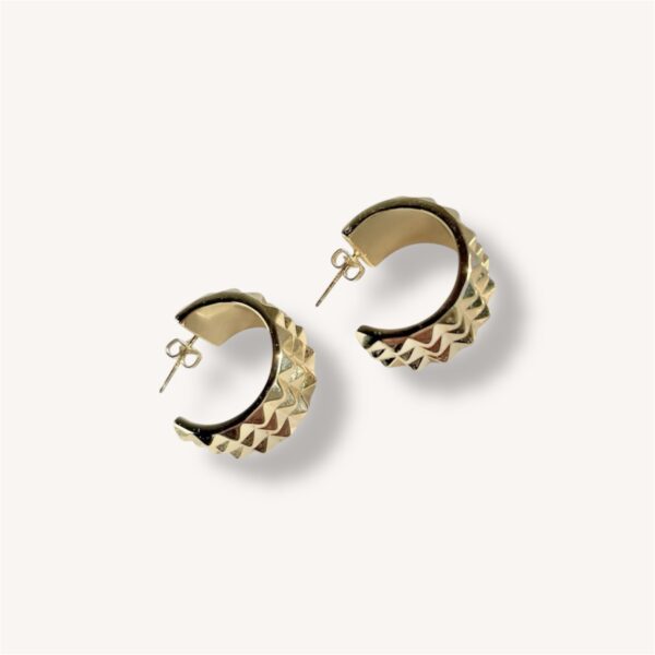 Stoere Hoop Oorbel